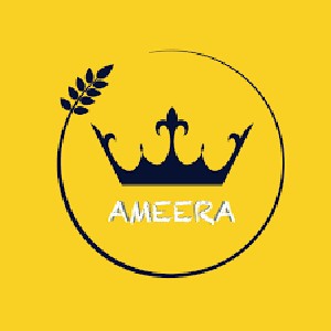 Ameera Bread